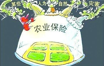 巨額賠款幫海南橡膠渡過這個(gè)嚴(yán)冬