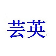 上海蕓英工業(yè)皮帶有限公司